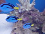 DSC04534.JPG