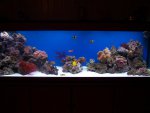 zeeaquarium 123 (Medium).jpg