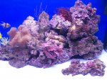 zeeaquarium 113 (Medium).jpg