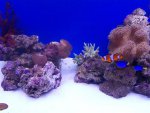 zeeaquarium 114 (Medium).jpg