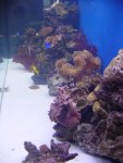DSC04523.JPG