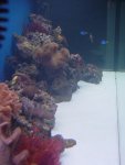 DSC04528.JPG