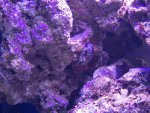 zeeaquarium 003 (Medium).jpg