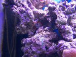 zeeaquarium 004 (Medium).jpg