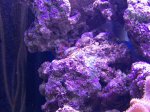 zeeaquarium 015 (Medium).jpg