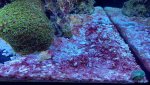 D7191AC0-A15E-437F-A080-AB6D0CE1E7E8.jpeg D7191AC0-A15E-437F-A080-AB6D0CE1E7E8.jpeg