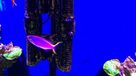 141DD882-0E84-45AC-A9FA-630A68C9E186.jpeg