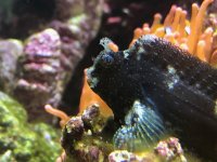 IMG_6565.jpeg IMG_6565.jpeg