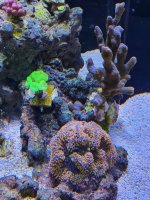 20201101_174518.jpg