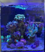 IMG_3405(1).png IMG_3405(1).png