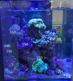 IMG_3406(1).png IMG_3406(1).png