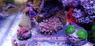 20201120_004029.jpg