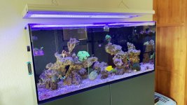 IMG_2307.jpeg