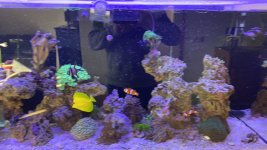 IMG_2305.jpeg