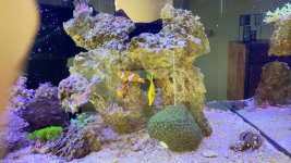 IMG_2306.jpeg