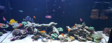 20201127_200529.jpg