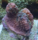 20201122_160600.jpg