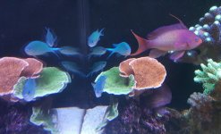 20201126_190332.jpg