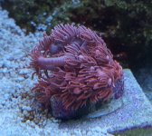 20201127_200720.jpg