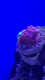 EE9F7163-8F67-4D34-B94C-2320D161A57F.jpeg