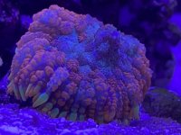 C8691704-4E8E-4133-928F-D10343A1BC6F.jpeg