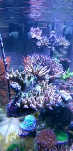 20201204_173935.jpg 20201204_173935.jpg