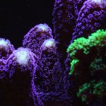 5C8D0E17-F882-4EDB-AB6F-1F8EE6B2E498.jpeg 5C8D0E17-F882-4EDB-AB6F-1F8EE6B2E498.jpeg