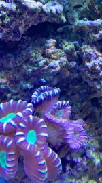 C9A7734D-C0A7-4AF2-A7CE-32CC32B388A3.jpeg