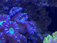5C24FF0B-2894-40B6-B3DF-96776BC08DE8.jpeg