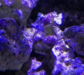 0820A0E7-92F0-4692-AC5D-E6C137419C56.jpeg