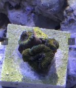 DDDED528-123E-494A-8AF4-E50011471EC5.jpeg