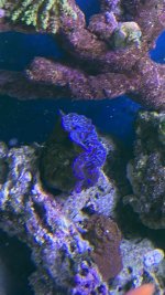 B42D28E4-440D-417B-A943-64F4B4718DF0.jpeg