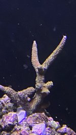 D3223444-9140-48B2-B424-92725CA23A80.jpeg