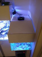 IMG_20210124_182506902.jpg