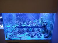 IMG_20210124_183015885.jpg