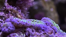 E265CE95-2B55-4786-A3C6-498717A00C5E.jpeg