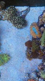 385C194B-2972-4C72-BB77-38FBFE05F331.jpeg