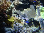 DSC01528.JPG
