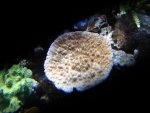 DSC01526.JPG