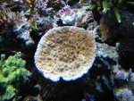 DSC01527.JPG
