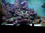 DSCF0056.JPG