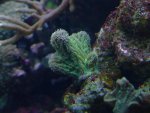 DSCF0092.JPG