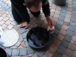 DSC01533.JPG