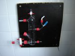 DSC01552.JPG