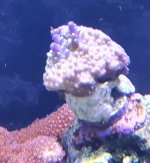 20201220_112319~2.jpg