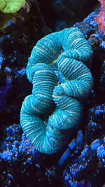 D89E4722-E6CF-42A7-AAF3-45BCDC42F0A8.jpeg D89E4722-E6CF-42A7-AAF3-45BCDC42F0A8.jpeg