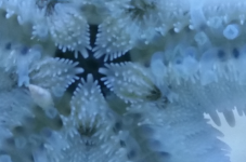 1612811106821.png