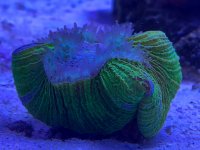 9C1CA447-93E2-47B2-ACC1-C9AAEEC2A753.jpeg