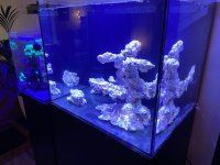 IMG_4445.JPEG IMG_4445.JPEG