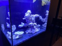 IMG_4444.JPEG IMG_4444.JPEG